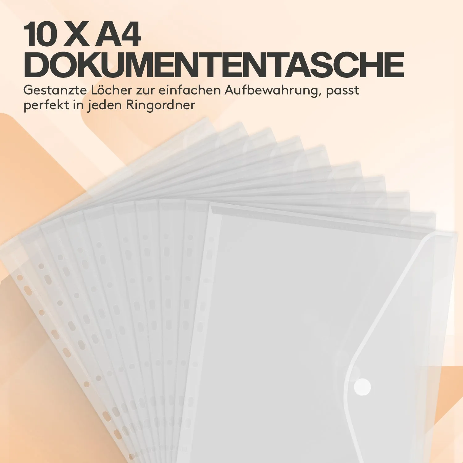 ACROPAQ Raccoglitori A4 Set 12 Pezzi 2 Anelli Colorati