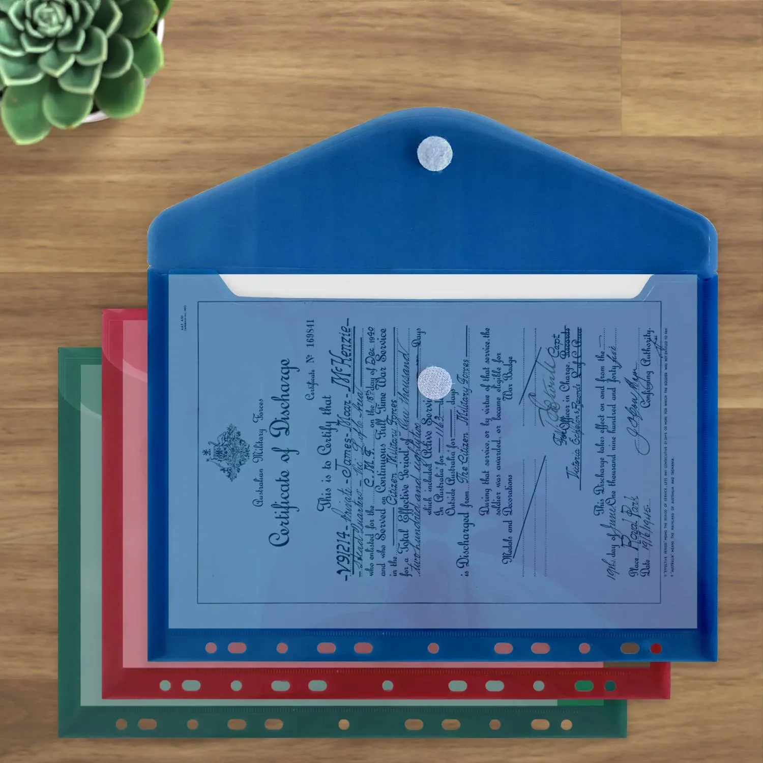 ACROPAQ Cartelline A4 10 pezzi con velcro assortite