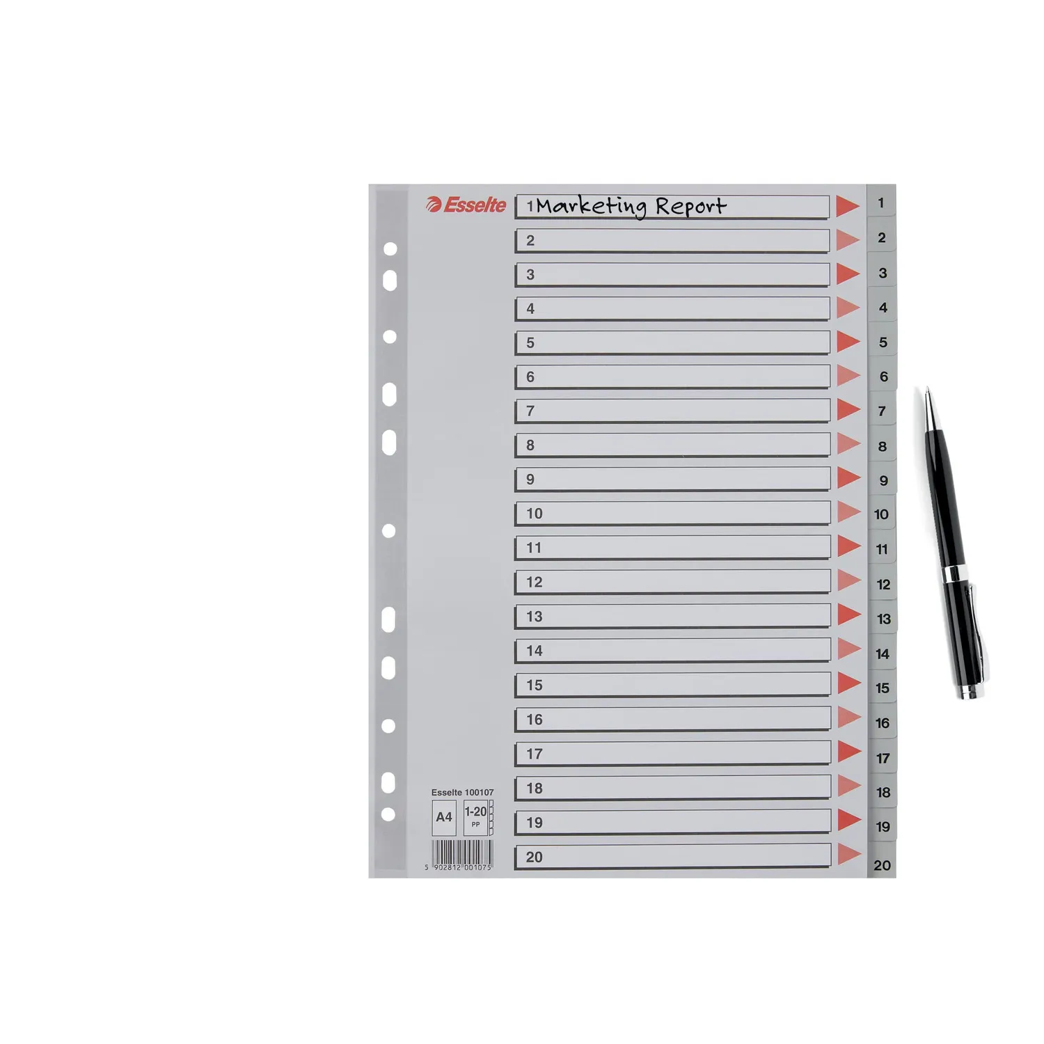Esselte 100107 rubrica divisori 1-20 A4 grigio 20 tasti