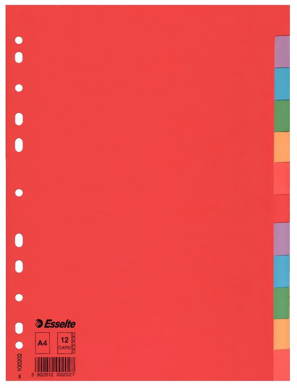 Esselte Divisori 100202 12 Tasti A4 Multicolore 10 pezzi