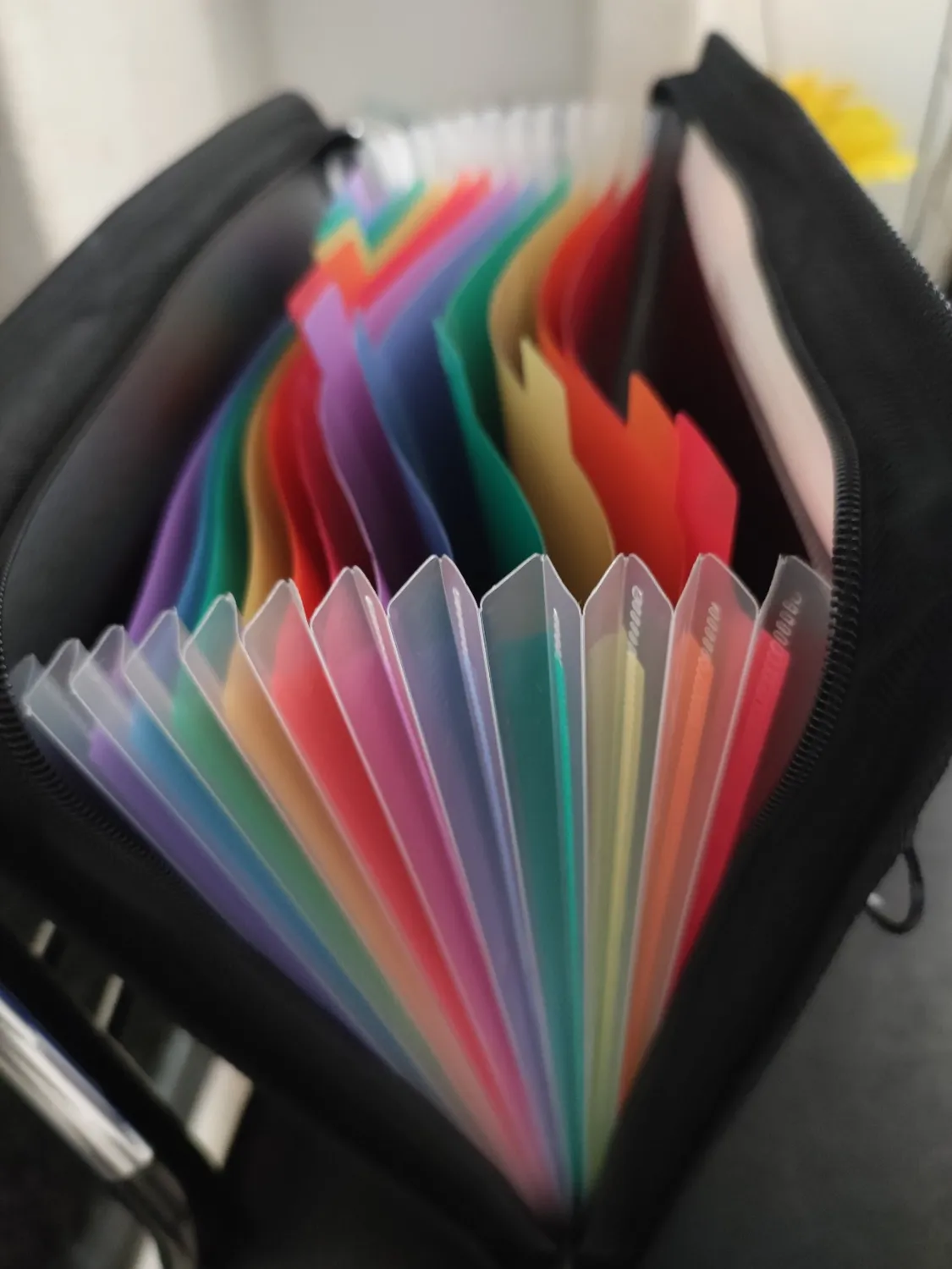 ABClife Cartella Documenti Zip A4 13 Tasche Colorata