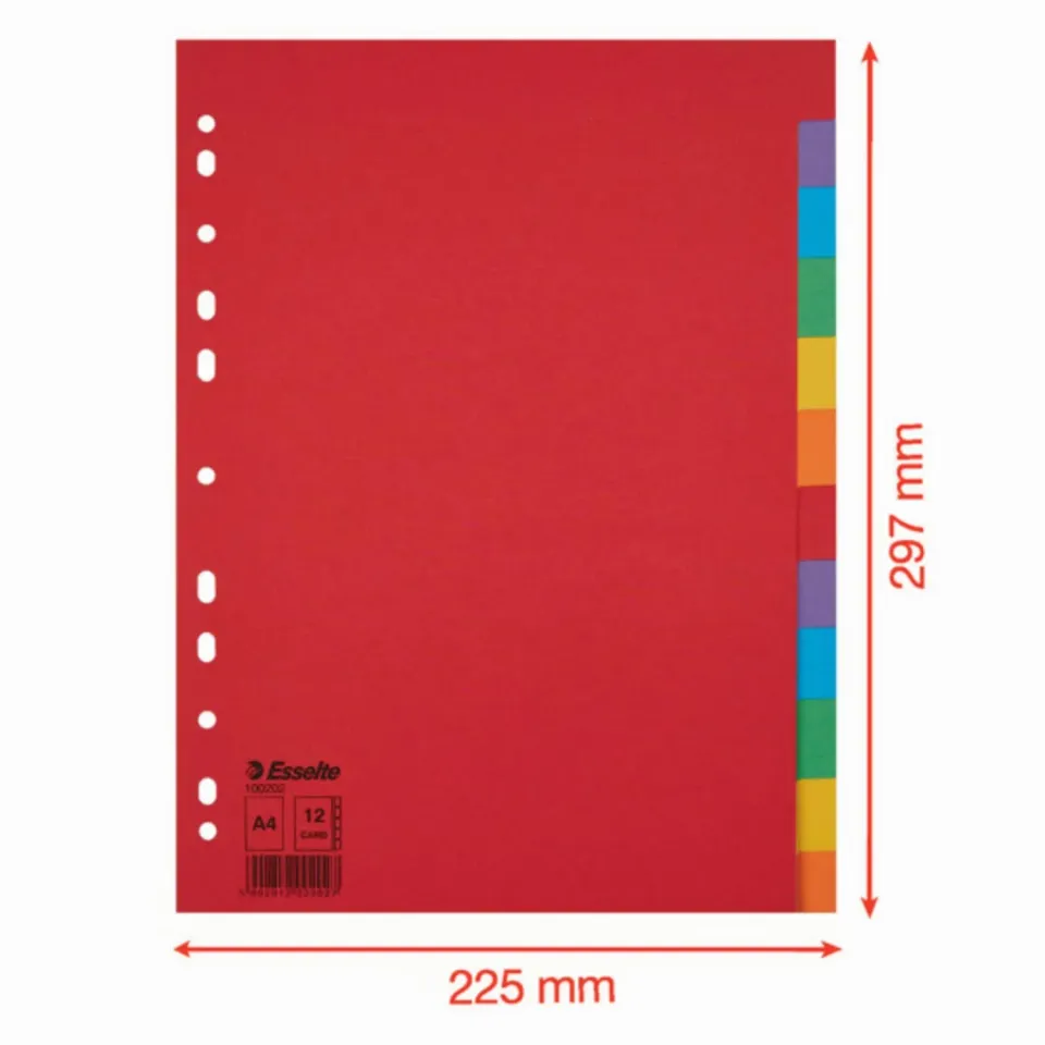Esselte Divisori 100202 12 Tasti A4 Multicolore 10 pezzi