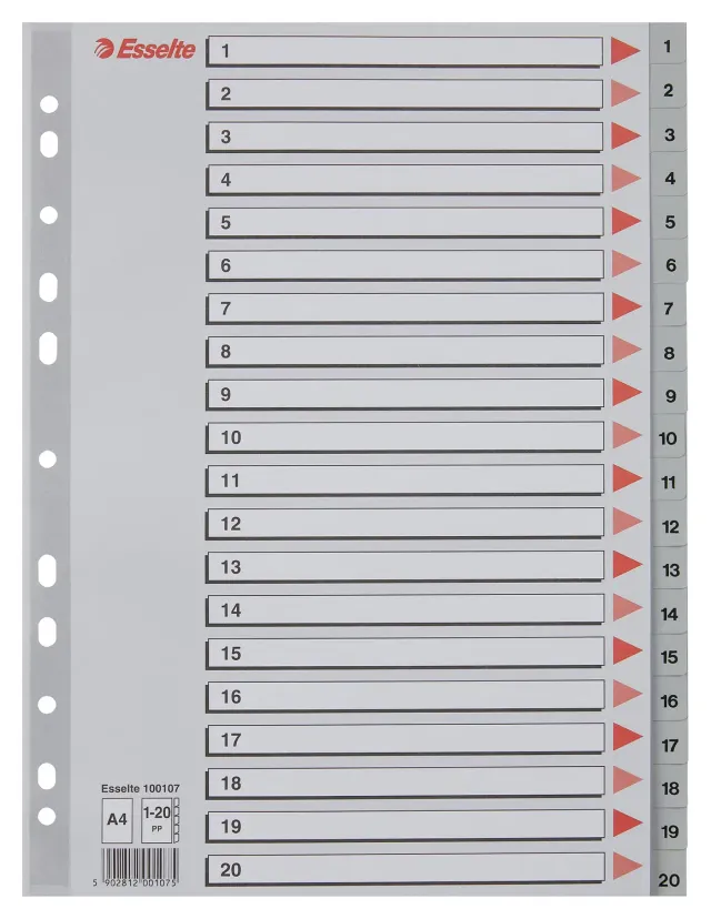 Esselte 100107 rubrica divisori 1-20 A4 grigio 20 tasti