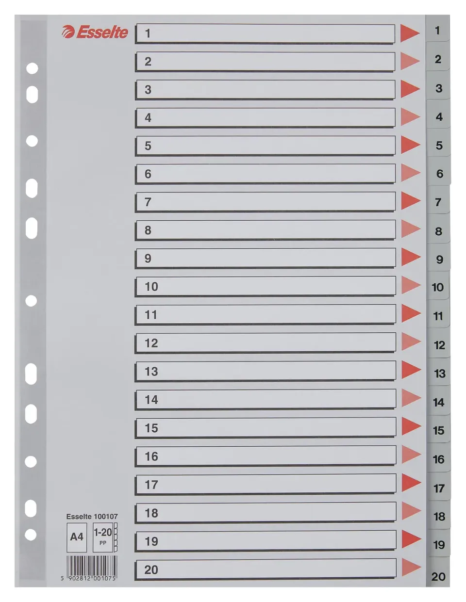 Esselte 100107 rubrica divisori 1-20 A4 grigio 20 tasti