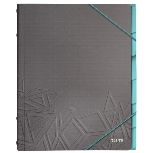 Leitz Ergo WOW 39490089 libro organizzatore grigio