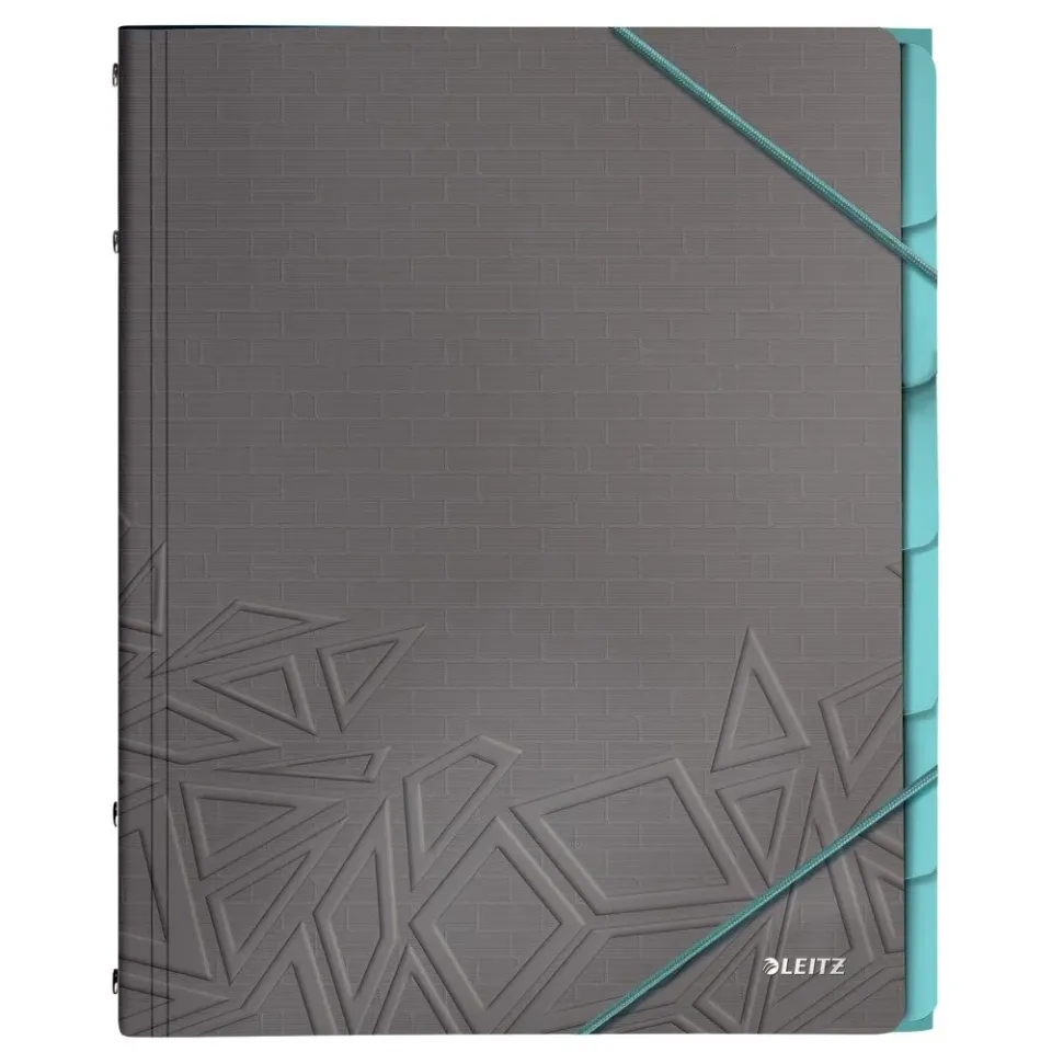 Leitz Ergo WOW 39490089 libro organizzatore grigio