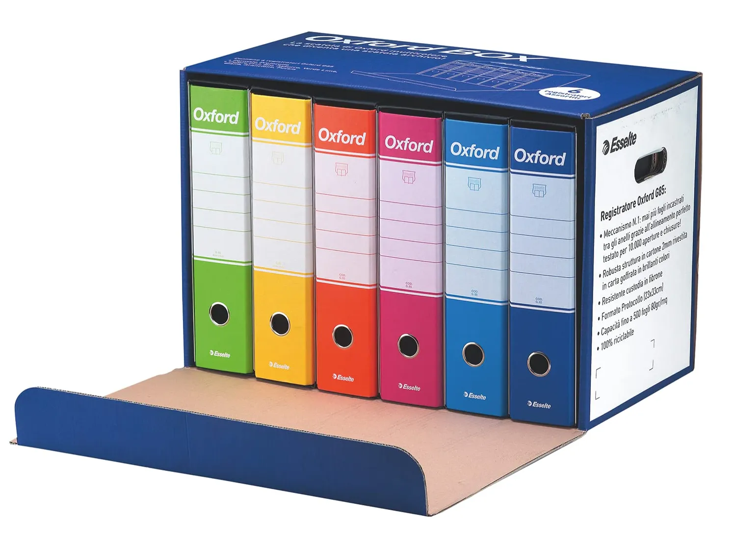 Esselte Oxford G85 registratori A4 6 pezzi + 50 buste antiriflesso