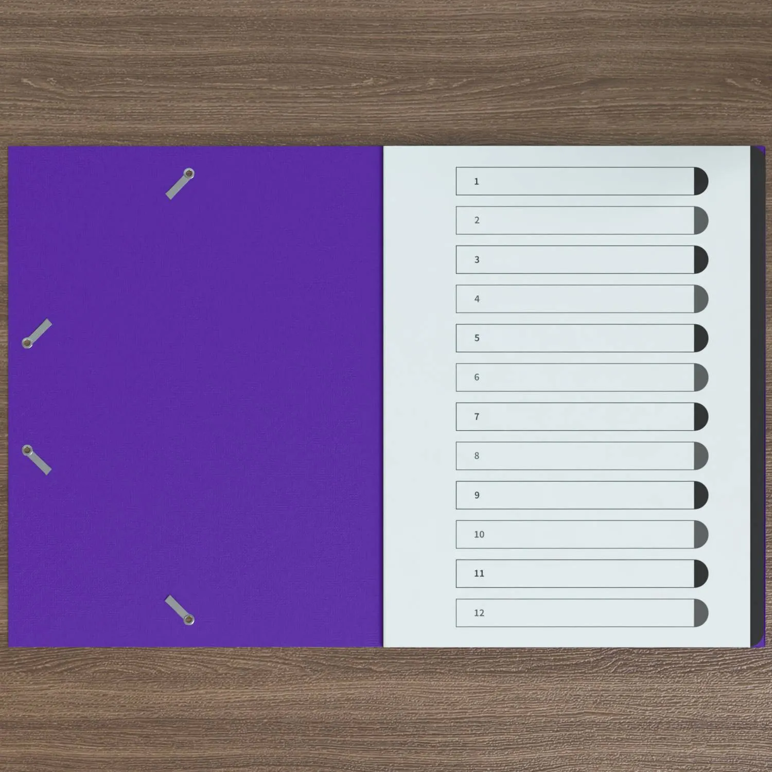 ACROPAQ Cartelline A4 8 pezzi con elastico senza plastica