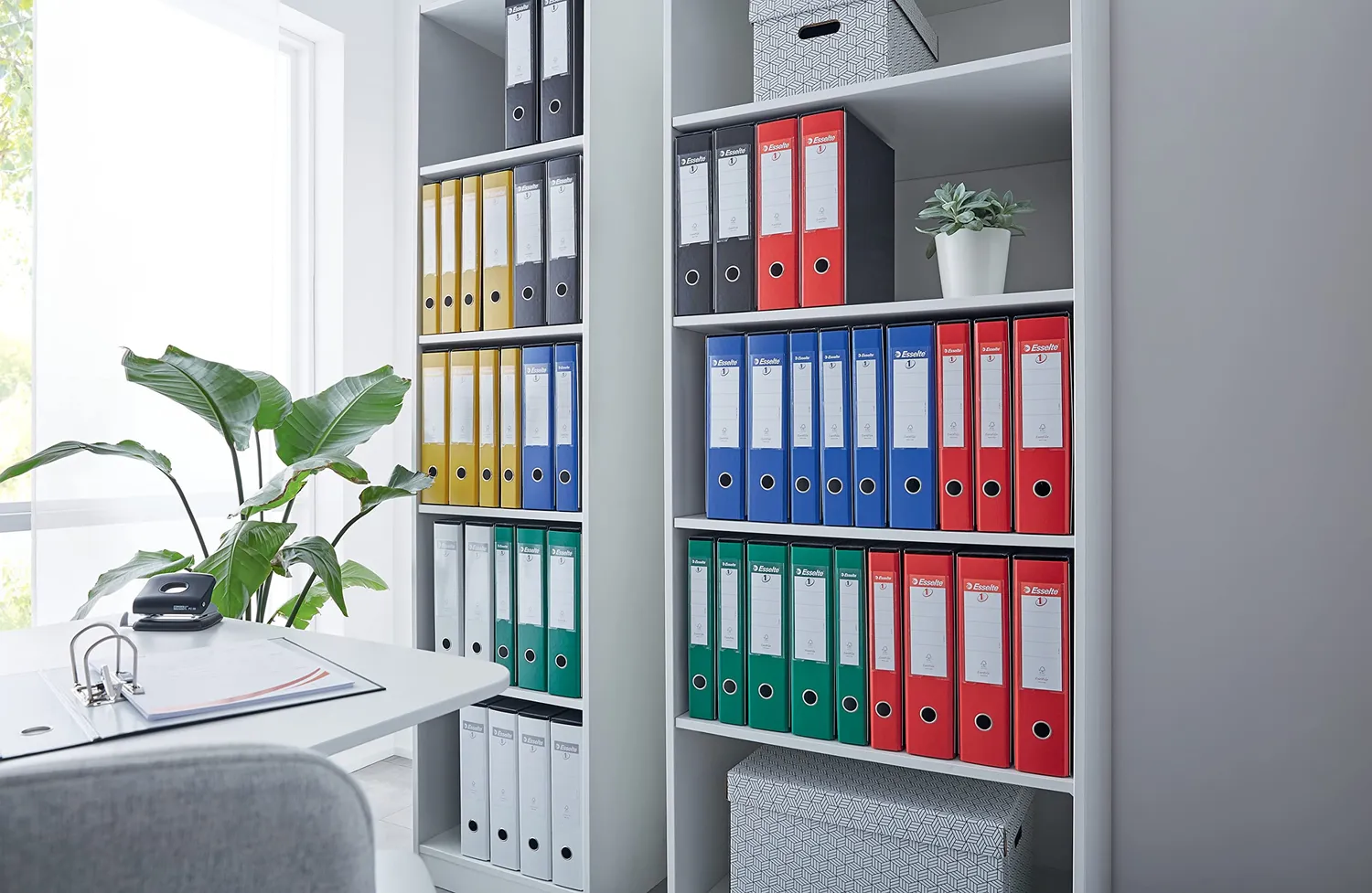 Esselte G55 Eurofile registratore protocollo bianco dorso 8 cm 500 fogli