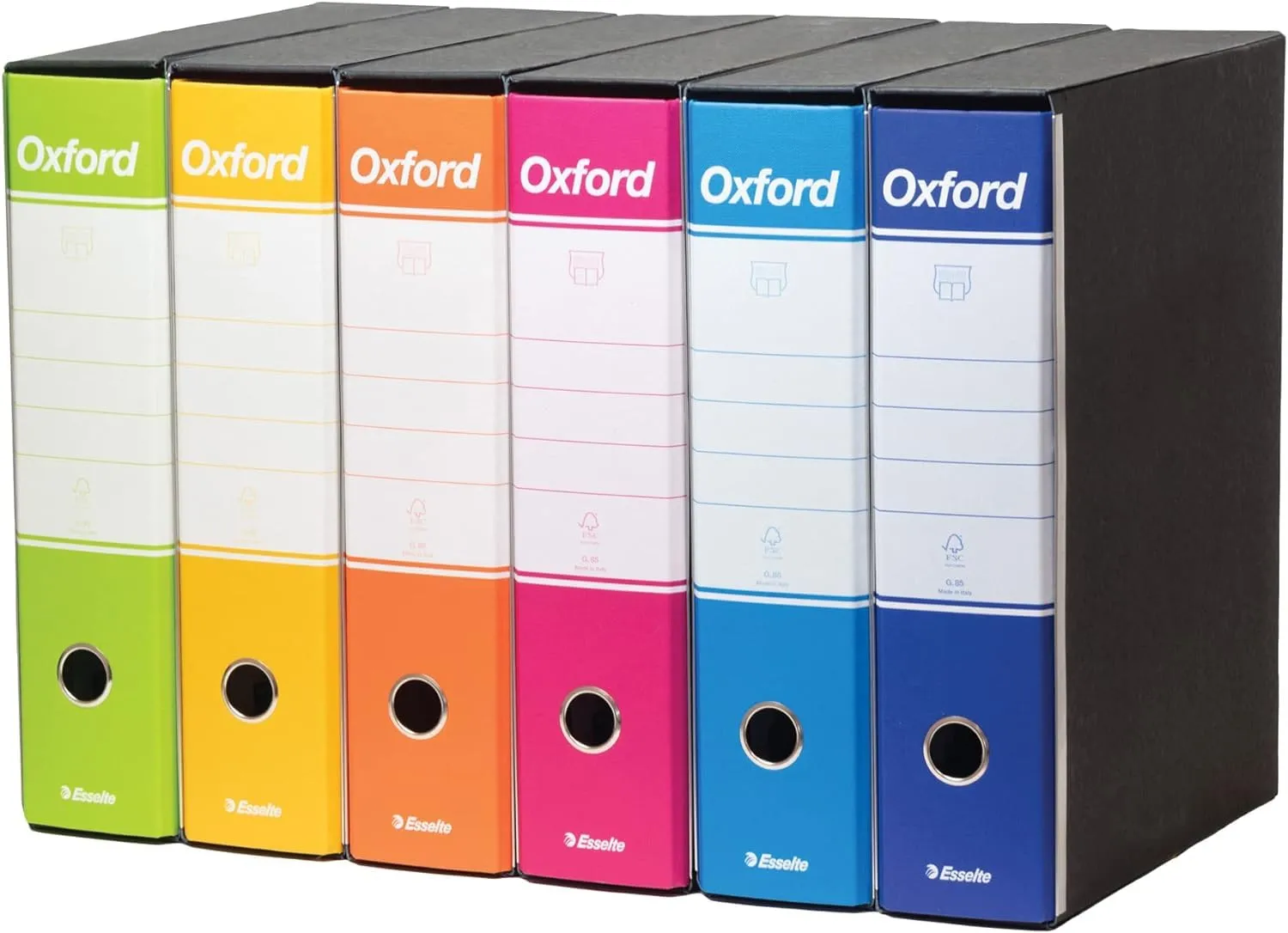 Esselte Oxford G85 registratori A4 6 pezzi + 50 buste antiriflesso