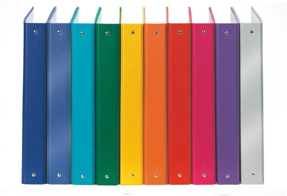 Esselte Meeting 395792910 raccoglitore 4 anelli blu Vivida A4