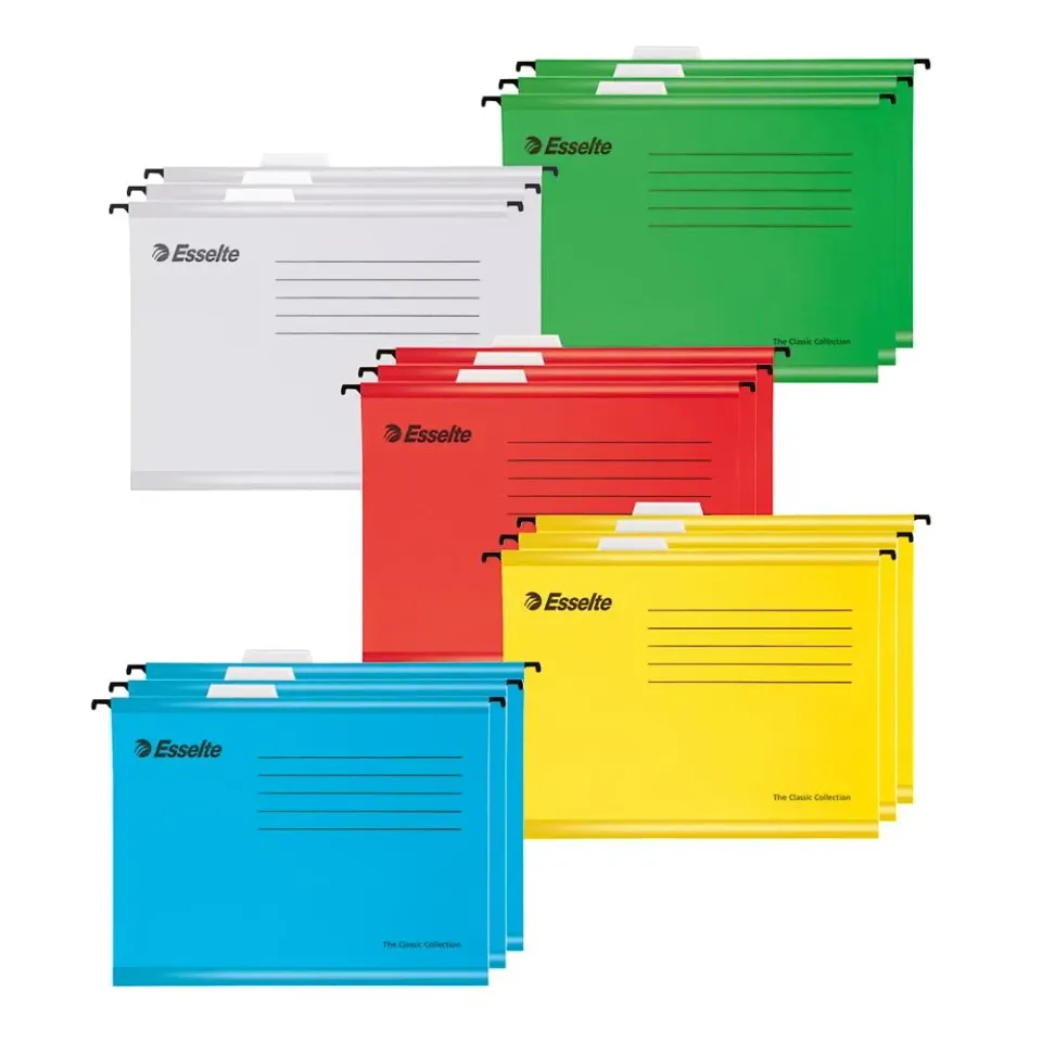 Esselte 628808 Cartelle Sospese A4 rinforzate 15 pezzi assortiti