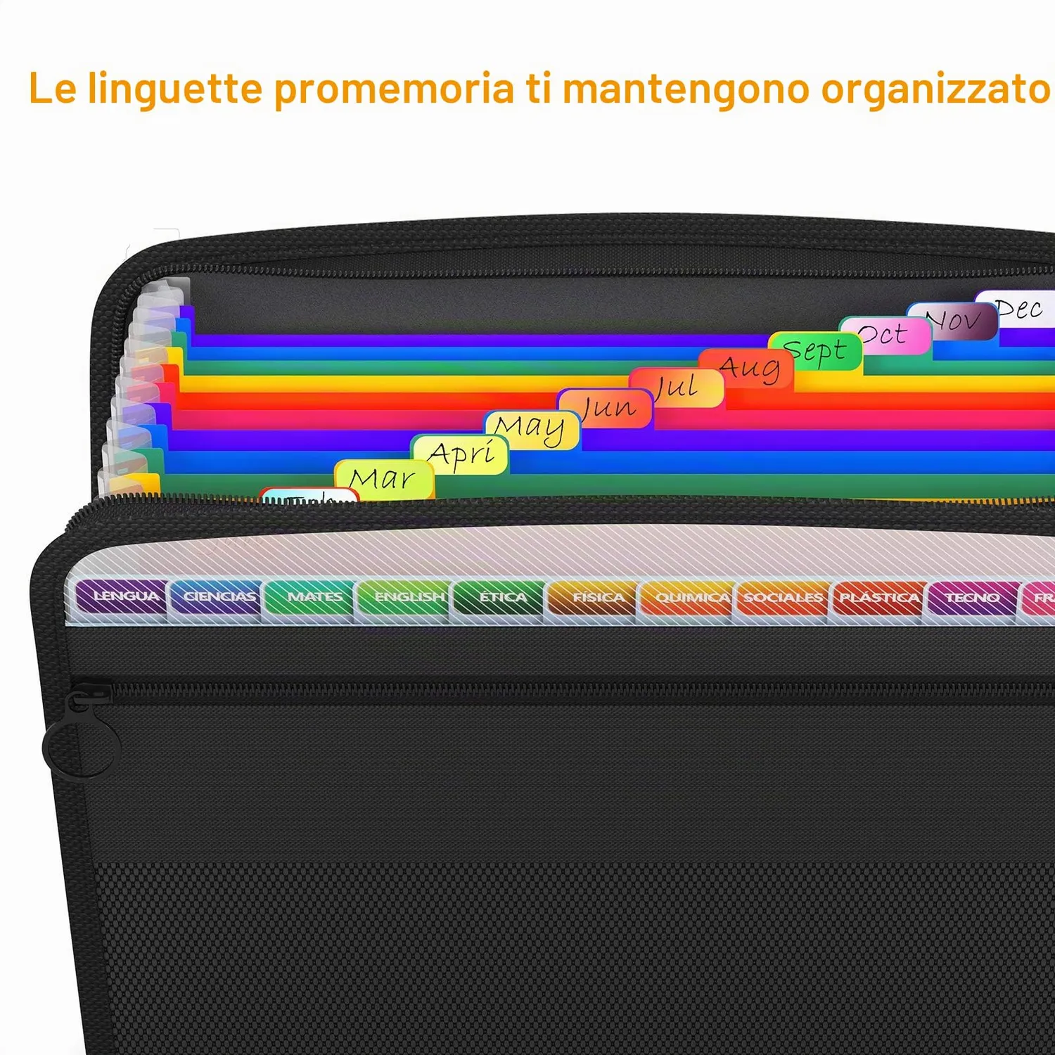 ABClife Cartella Documenti Zip A4 13 Tasche Colorata