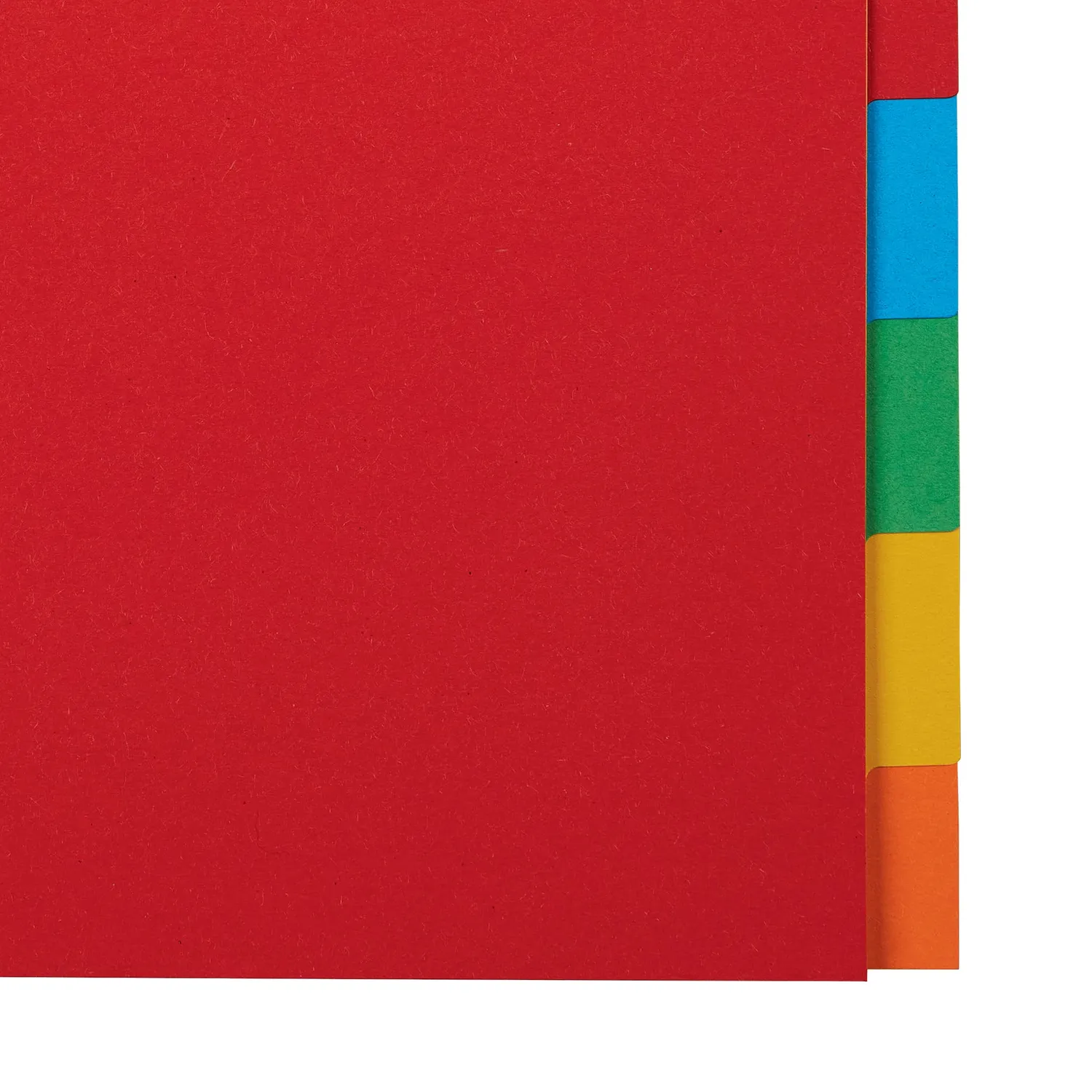 Esselte intercalari A4 colorati 10 pezzi cartoncino riciclato