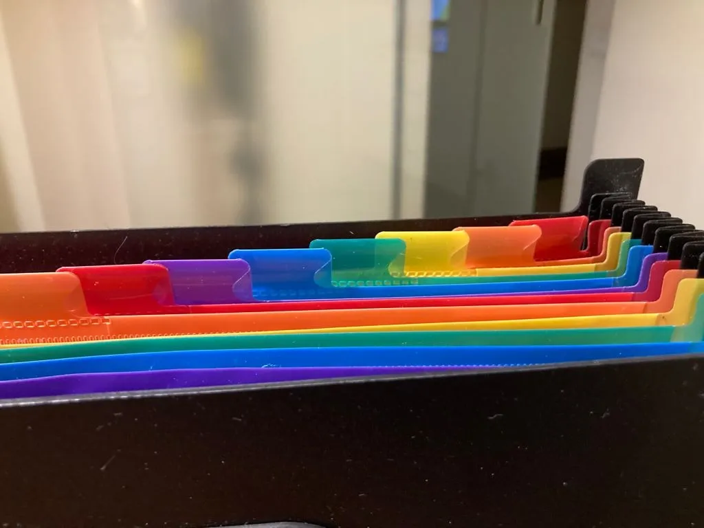 ABClife Portadocumenti A4 Fisarmonica 12 tasche multicolore coperchio