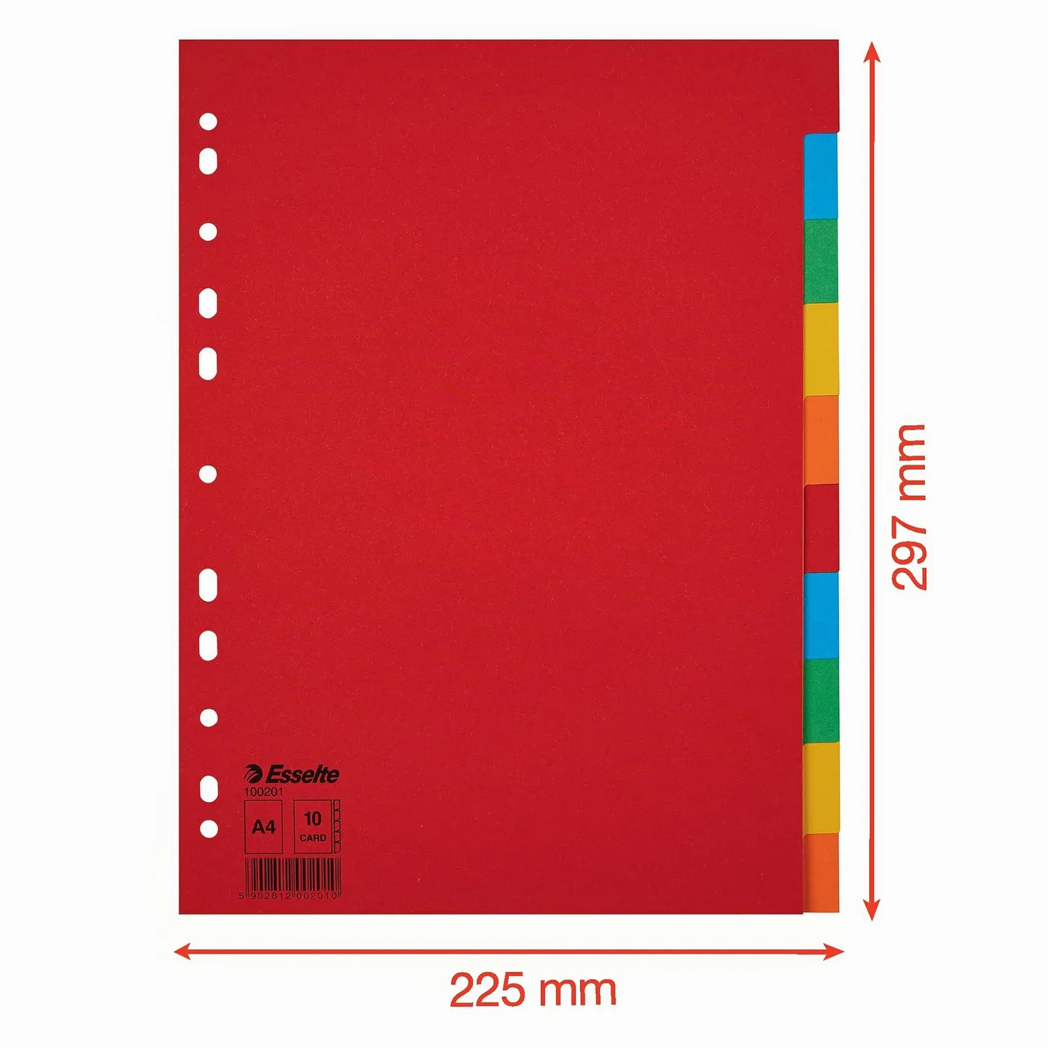 Esselte intercalari A4 colorati 10 pezzi cartoncino riciclato
