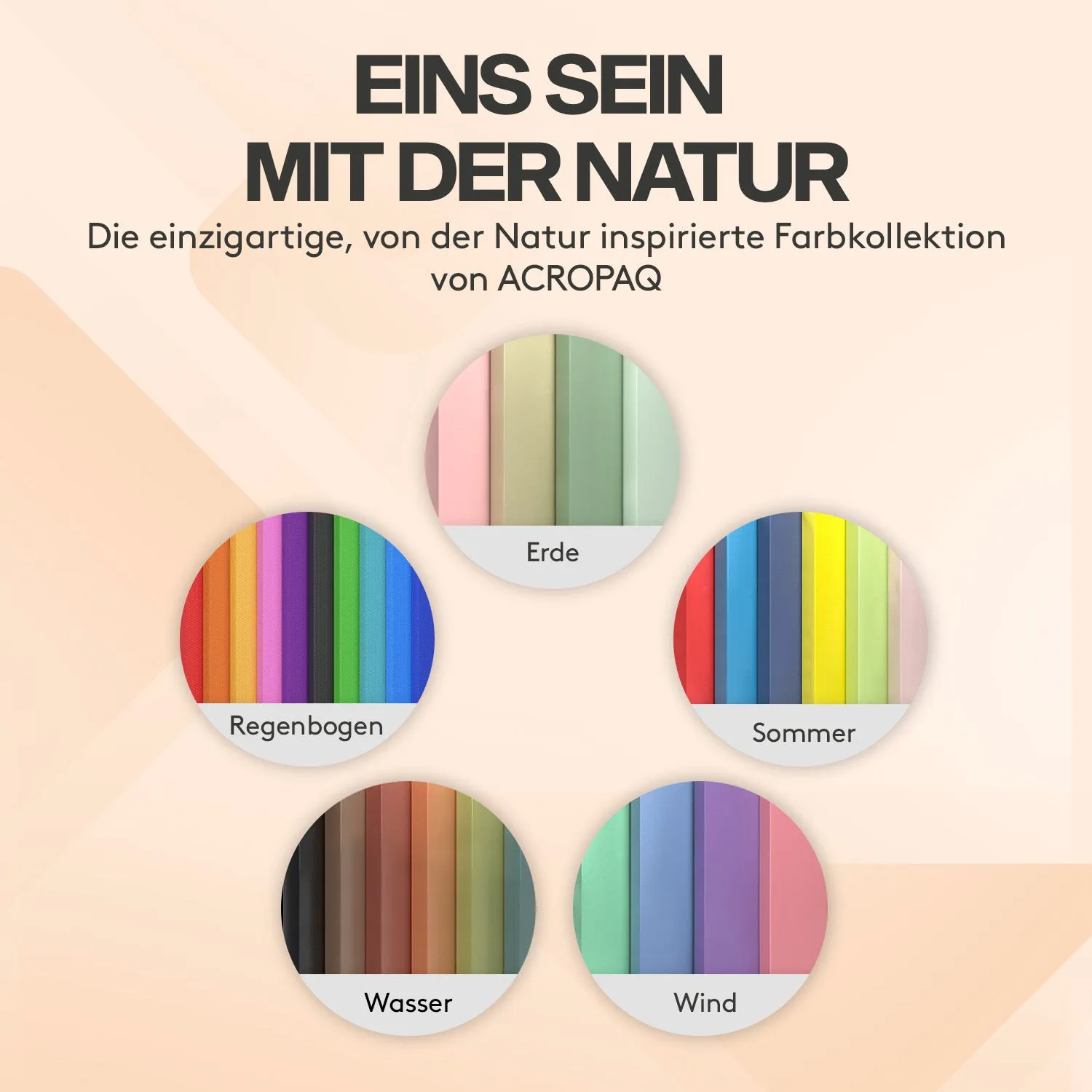 ACROPAQ Cartelline Elastico A4 10 Pezzi 10 Colori 200 Fogli