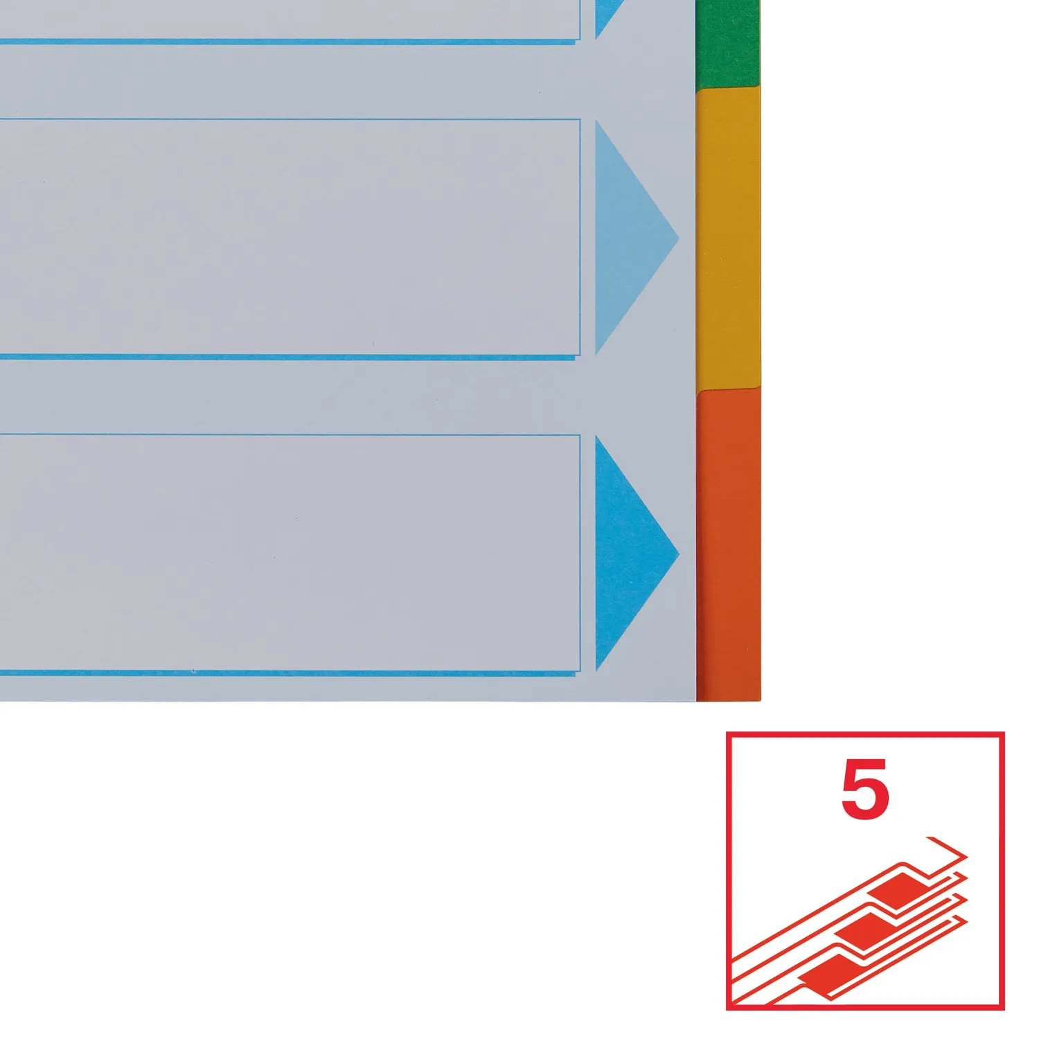 Esselte 100191 divisori A4 5 tasti multicolore riciclati