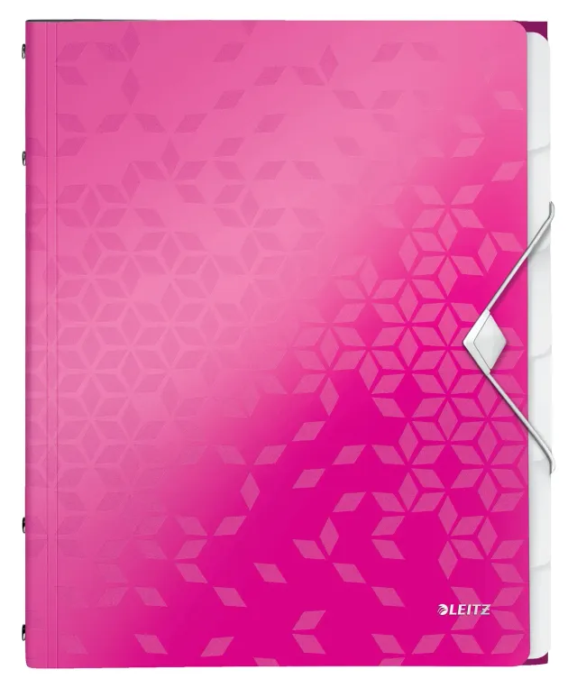 Leitz Ergo WOW Cartella Organizer Fucsia 6 Divisori A4