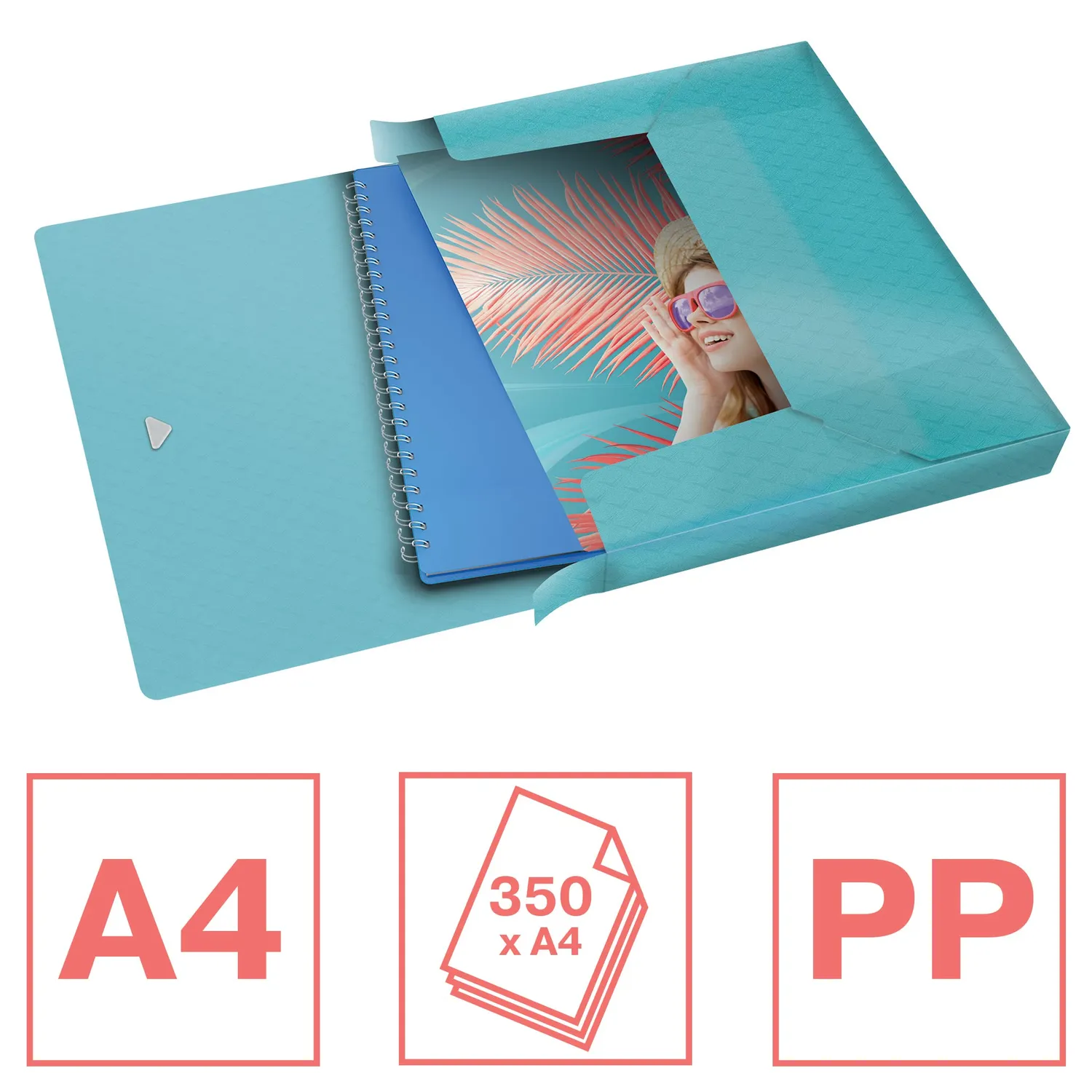 Esselte Colour'Breeze scatola portadocumenti A4 blu 40 mm 350 fogli